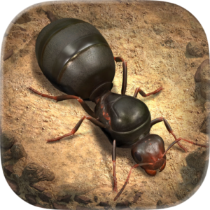 The Ants